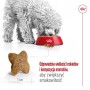 Nourriture Royal Canin Adult Mini S Oiseaux 8 kg