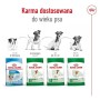 Pienso Royal Canin Adult Mini S Aves 8 kg