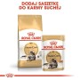 Aliments pour chat Royal Canin Maine Coon Adult 12 x 85 g