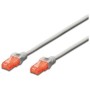 Cable de Red Rígido UTP Categoría 6 Ewent EW-6U-050 (5 m)