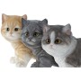 Figurine Décorative DKD Home Decor Chat Résine (3 pcs) (20.5 x 10 x 15 cm)