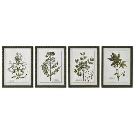 Cadre Home ESPRIT Vert Beige Shabby Chic Plantes botaniques 30 x 2,5 x 40 cm (4 Unités)