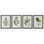 Cadre Home ESPRIT Vert Beige Shabby Chic Plantes botaniques 30 x 2,5 x 40 cm (4 Unités)
