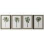 Cadre Home ESPRIT Vert Beige Palmiers Tropical 50 x 2,5 x 70 cm (4 Unités)
