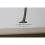 Cuadro Home ESPRIT Verde Beige Palmeras Tropical 50 x 2,5 x 70 cm (4 Unidades)