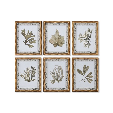 Cadre Home ESPRIT Vert Beige Doré Plantes botaniques 28 x 2,8 x 36 cm (6 Unités)