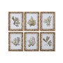 Cadre Home ESPRIT Vert Beige Doré Plantes botaniques 28 x 2,8 x 36 cm (6 Unités)