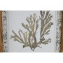 Cadre Home ESPRIT Vert Beige Doré Plantes botaniques 28 x 2,8 x 36 cm (6 Unités)