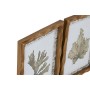Cadre Home ESPRIT Vert Beige Doré Plantes botaniques 28 x 2,8 x 36 cm (6 Unités)