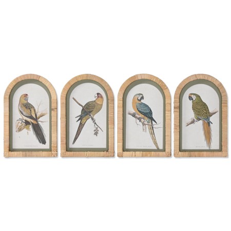 Cadre Home ESPRIT Vert Beige Perroquet Tropical 22,5 x 2,5 x 35,5 cm (4 Unités)