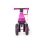 Tricycle Funny Wheels Rider 516538