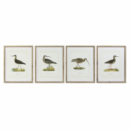 Cadre DKD Home Decor S3017831 Oiseaux (55 x 2,5 x 70 cm) (4 Unités)