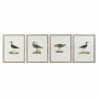 Cadre DKD Home Decor S3017831 Oiseaux (55 x 2,5 x 70 cm) (4 Unités)