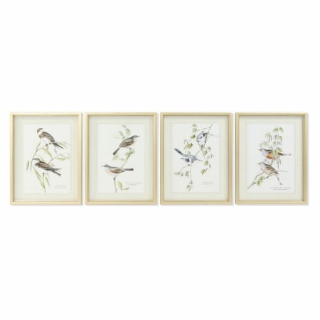 Cadre DKD Home Decor S3017833 Oiseaux (35 x 2,5 x 45 cm) (4 Unités)