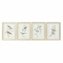 Cadre DKD Home Decor S3017833 Oiseaux (35 x 2,5 x 45 cm) (4 Unités)