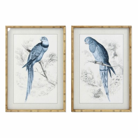 Cadre DKD Home Decor S3017835 Perroquet Oriental (50 x 2,8 x 70 cm) (2 Unités)