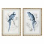 Cadre DKD Home Decor S3017835 Perroquet Oriental (50 x 2,8 x 70 cm) (2 Unités)