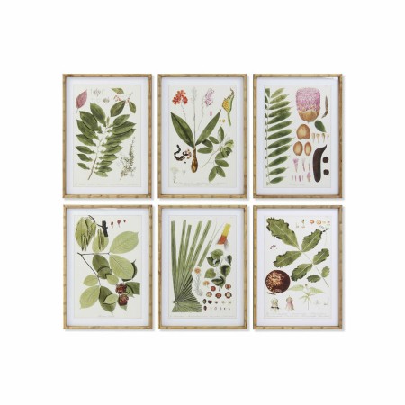 Cadre DKD Home Decor S3017837 Fleurs Moderne (50 x 2,8 x 70 cm) (6 Unités)