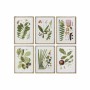 Cadre DKD Home Decor S3017837 Fleurs Moderne (50 x 2,8 x 70 cm) (6 Unités)