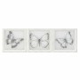 Cadre DKD Home Decor Papillon (40 x 2,5 x 40 cm)