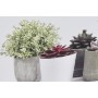 Cadre DKD Home Decor Pin Toile Pot (3 pcs) (135 x 2.5 x 45 cm)