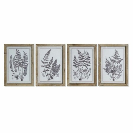 Cadre DKD Home Decor S3017930 Feuille d'une plante (35 x 1,7 x 50 cm) (4 Unités)