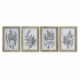 Cadre DKD Home Decor S3017930 Feuille d'une plante (35 x 1,7 x 50 cm) (4 Unités)