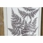 Cadre DKD Home Decor S3017930 Feuille d'une plante (35 x 1,7 x 50 cm) (4 Unités)