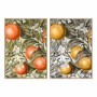 Cadre DKD Home Decor Fruits (53 x 4,5 x 73 cm) (2 Unités)