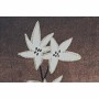 Cadre DKD Home Decor Vase (52 x 2,7 x 72 cm) (2 Unités)