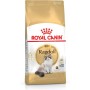 Comida para gato Royal Canin Ragdoll Pollo Aves 400 g