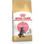 Comida para gato Royal Canin Maine coon Pollo Arroz Aves 400 g