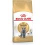 Comida para gato Royal Canin British Shorthair Pollo 400 g