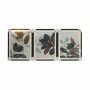Cadre DKD Home Decor 8424001871377 Feuille d'une plante (40 x 3 x 50 cm)