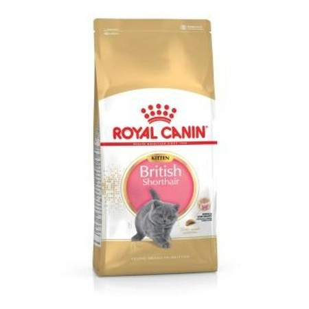 Aliments pour chat Royal Canin British Shorthair Kitten Adulte Poulet Oiseaux 400 g