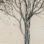 Cadre DKD Home Decor Arbres (100 x 4 x 100 cm) (2 Unités)