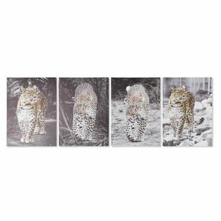 Cadre DKD Home Decor Léopard Colonial (50 x 1,8 x 70 cm) (4 Unités)