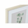 Cadre DKD Home Decor Plante (35 x 2 x 45 cm) (4 Unités)