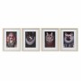 Cadre DKD Home Decor animaux (35 x 2 x 45 cm) (4 Unités)