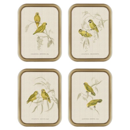 Cadre DKD Home Decor Perroquet Moderne (30 x 2 x 40 cm) (4 Unités)