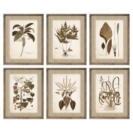 Cadre DKD Home Decor Fleurs Moderne (55 x 2,5 x 70 cm) (6 Unités)