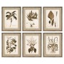 Cadre DKD Home Decor Fleurs Moderne (55 x 2,5 x 70 cm) (6 Unités)