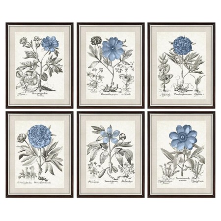 Cadre DKD Home Decor Fleurs Moderne (6 Unités) (50 x 2 x 65 cm)