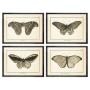 Cadre DKD Home Decor Papillon Moderne (60 x 2,5 x 45 cm) (4 Unités)