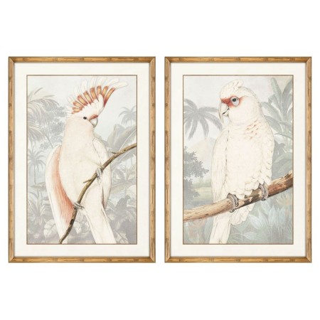 Cadre DKD Home Decor Perroquet Tropical (2 Unités) (50 x 3 x 70 cm)