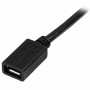 Câble Micro USB Startech USBUBEXT50CM     Noir