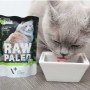 Aliments pour chat VETEXPERT Adult Cat 100 g