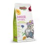 Pienso Alegia Junior Natural 650 g