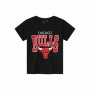 Camiseta Name It Nba