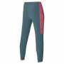 Pantalón para Adultos Mizuno Charge Printed Gris oscuro Hombre